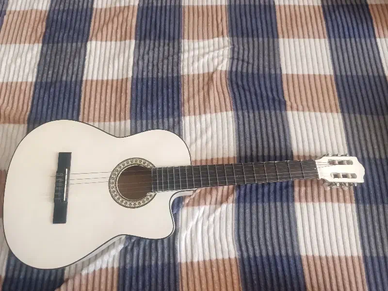 گیتار معاوضه|گیتار، بیس، امپلیفایر|شهرکرد, |دیوار