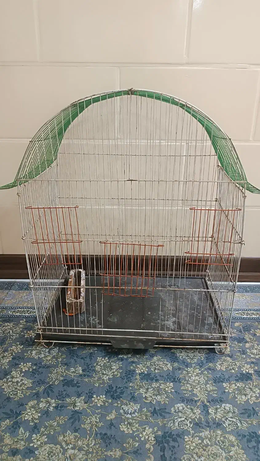 3 عدد قفس پرنده سالم|لوازم جانبی حیوانات|اهواز, زرگان|دیوار