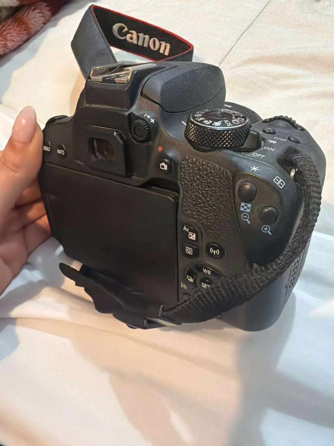 canon 800D|دوربین عکاسی و فیلم‌برداری|تهران, تهران‌نو|دیوار
