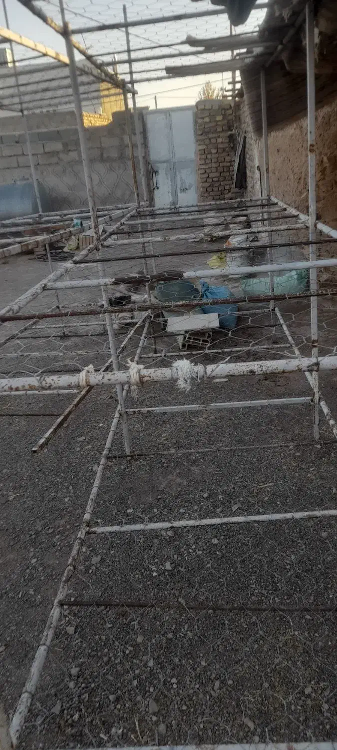 دستگاه پرورش قارچ و قفسه|فروشگاه و مغازه|عطاملک, |دیوار