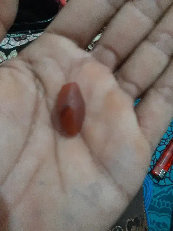 مهره عقیق قدیمی|کلکسیون اشیاء عتیقه|آزادشهر, |دیوار