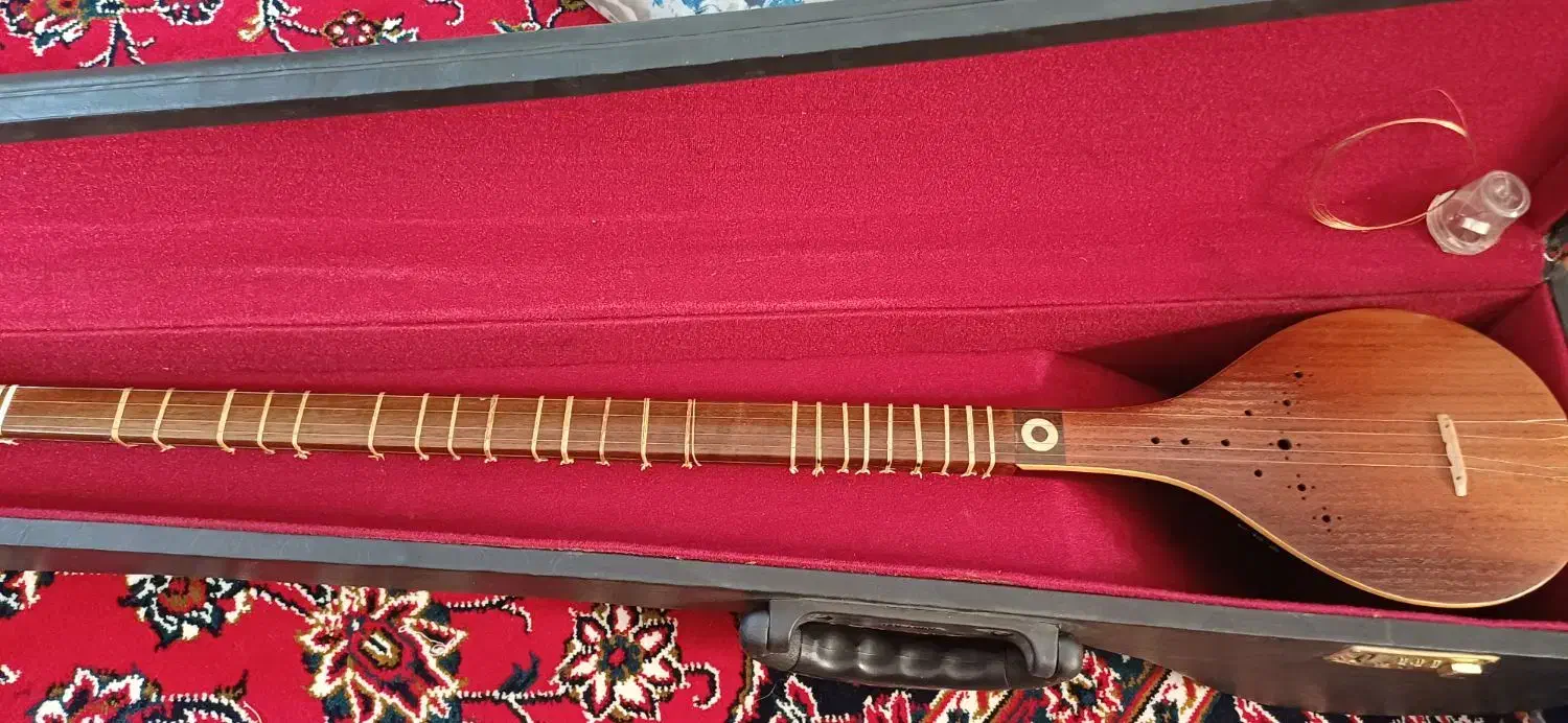 سه تار|سازهای سنتی|کاشان, لتحر|دیوار