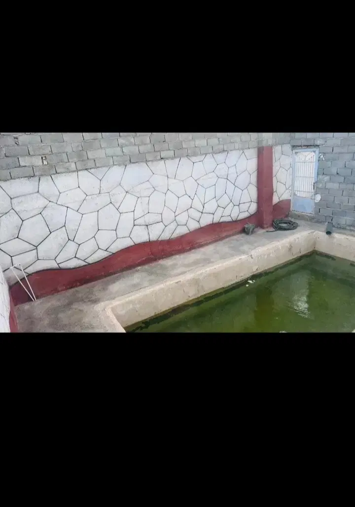 تصویر 3