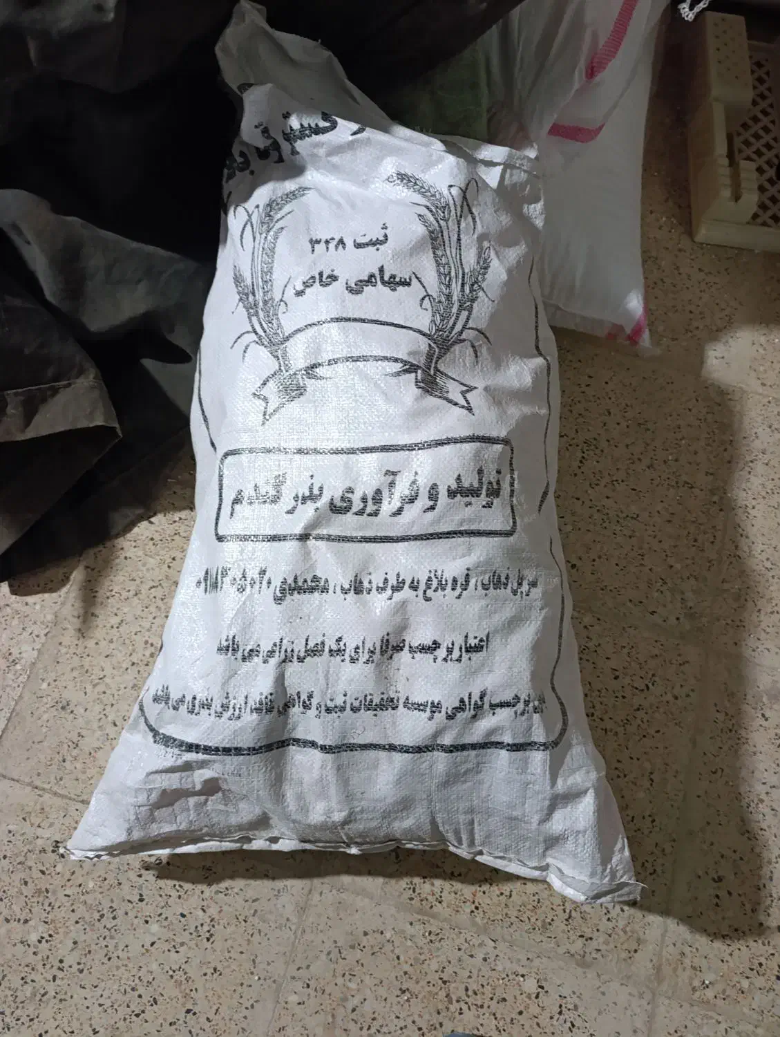 گندم بذری مادری تابش رقم دروم|خدمات باغبانی و درختکاری|ازگله, |دیوار