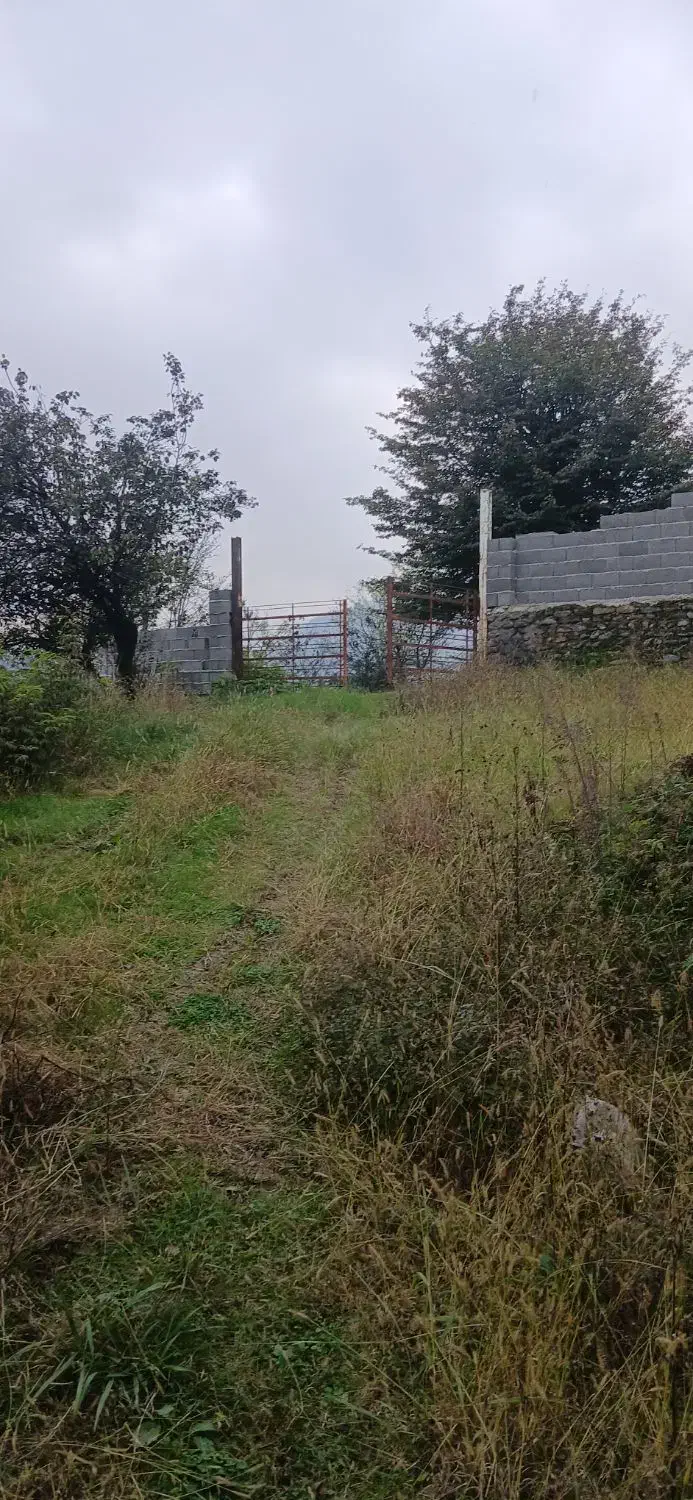 ۱۲۰۰متر زمین جنگلی با اسکلت|فروش زمین و ملک کلنگی|احمدسرگوراب, |دیوار