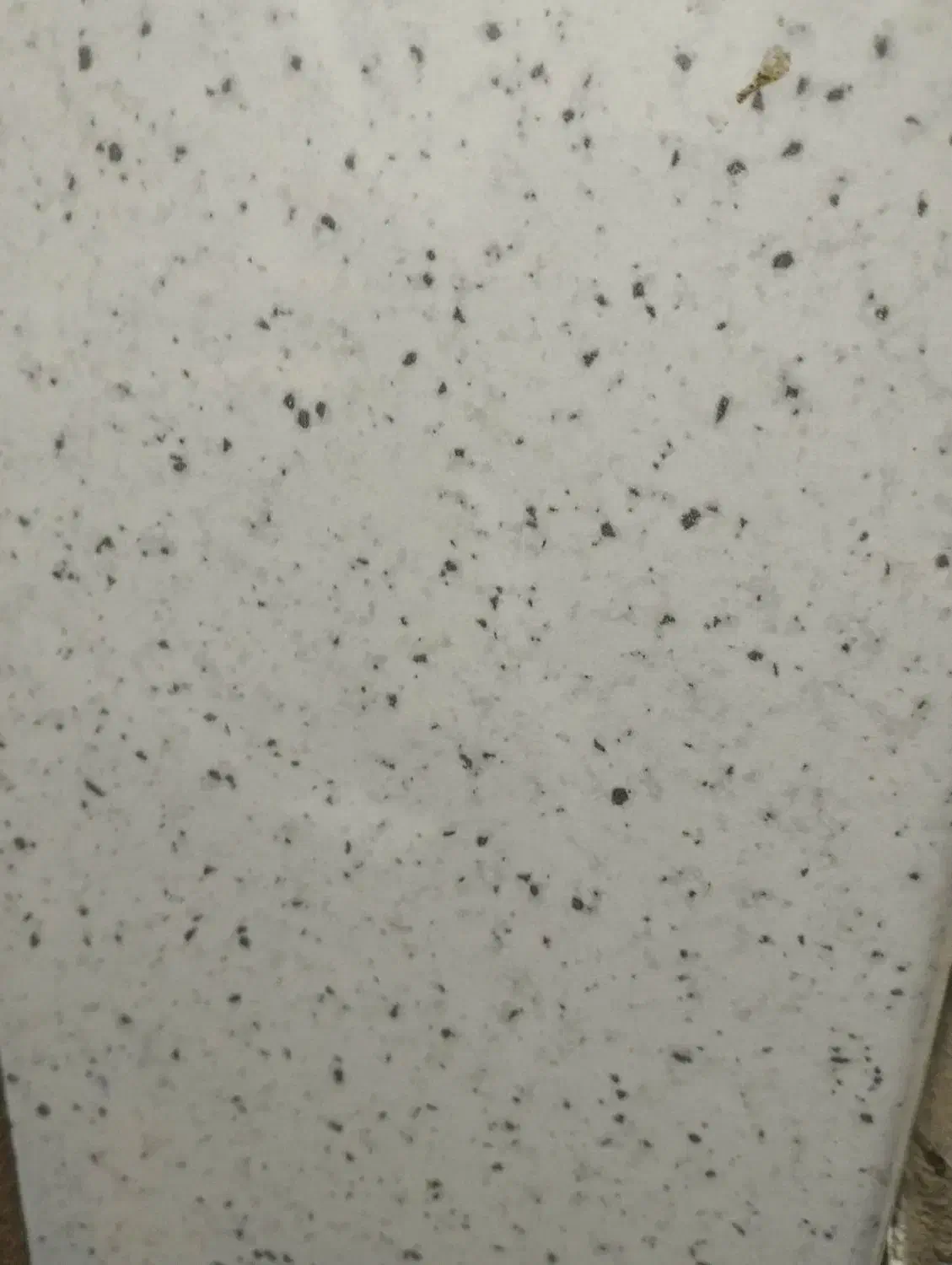 صفحه کابینت|مصالح و تجهیزات ساختمان|تهران, دستغیب|دیوار