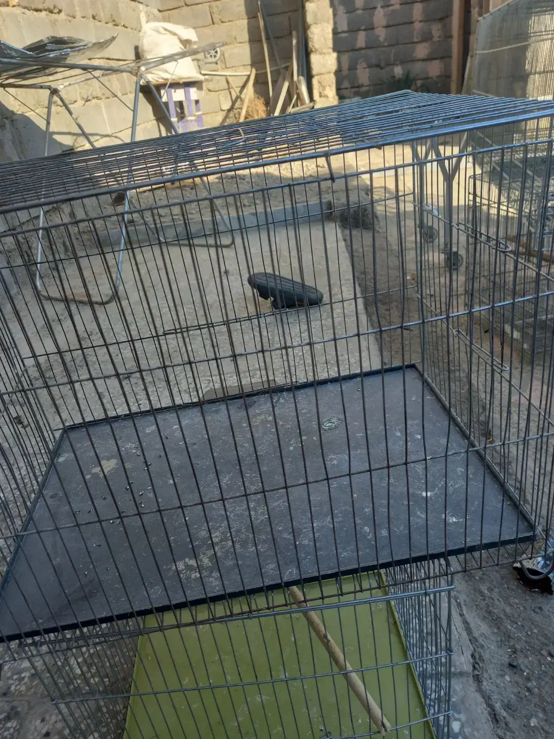 قفس|لوازم جانبی حیوانات|میناب, |دیوار