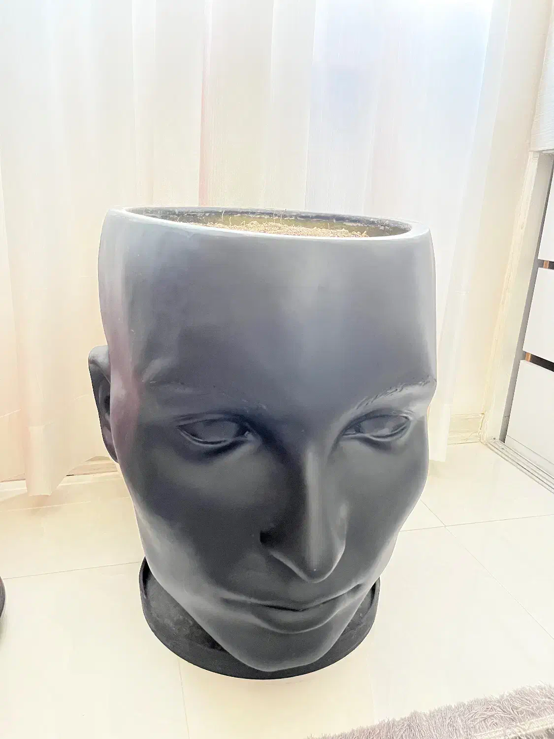 گلدون چهره|گل و گیاه طبیعی|شهر ری, شهادت|دیوار