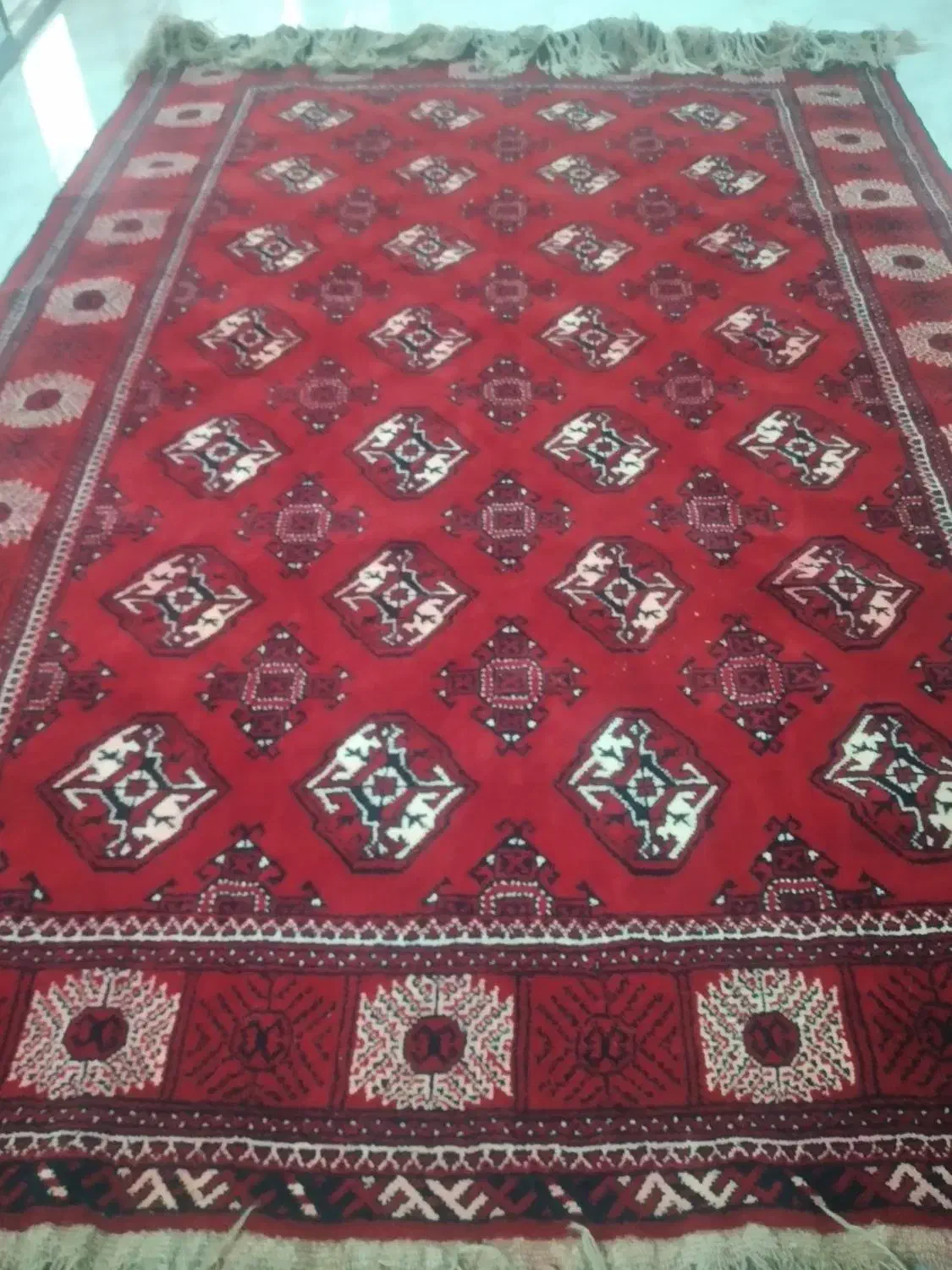 فرش ترکمنی دستبافت نو جنس نخی پنبه ای|فرش|گرگان, |دیوار