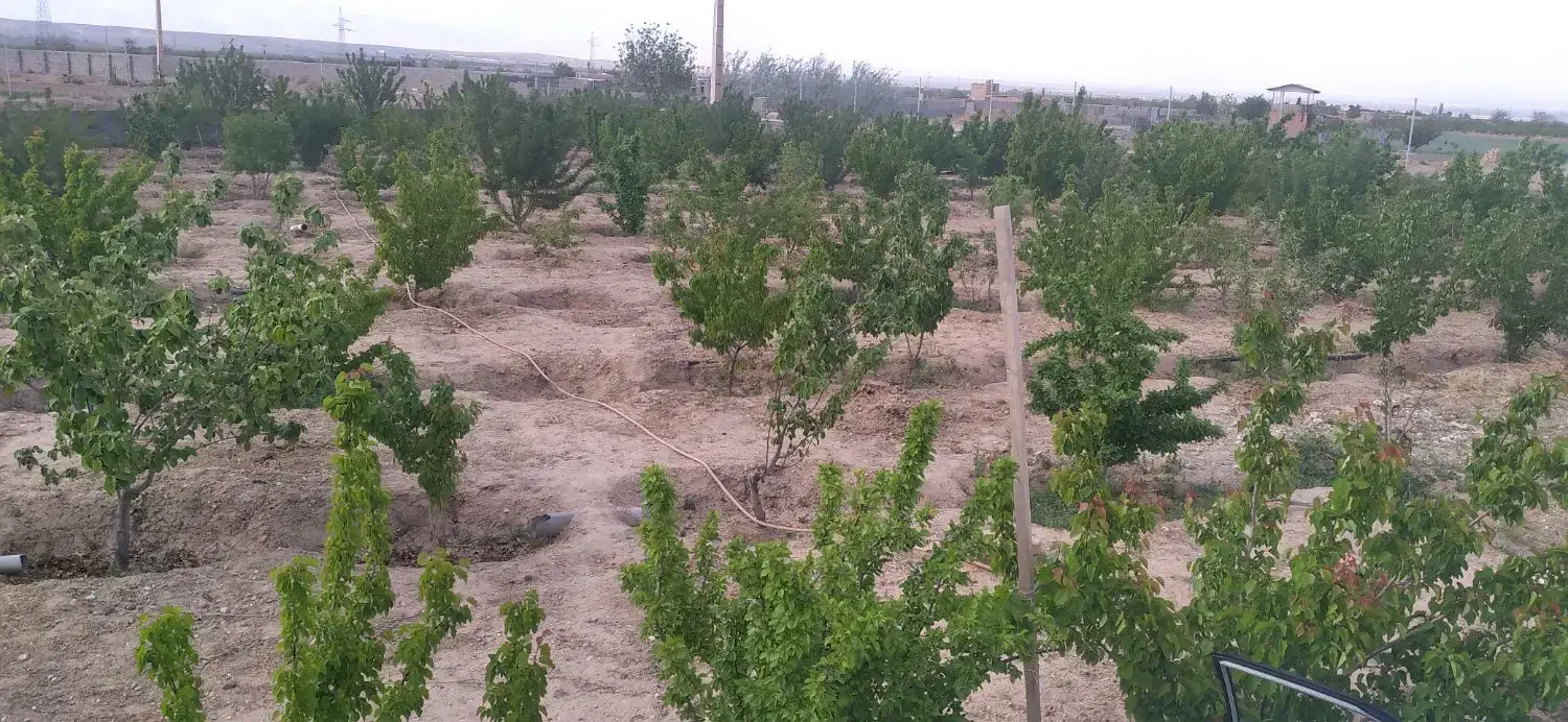 فروش فوری باغ|فروش دفتر صنعتی، کشاورزی، تجاری|بسطام, |دیوار