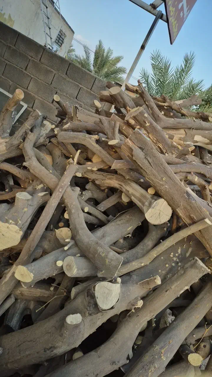 چوب مرکبات شما نقدا خریدارم|خدمات باغبانی و درختکاری|عنبرآباد, |دیوار