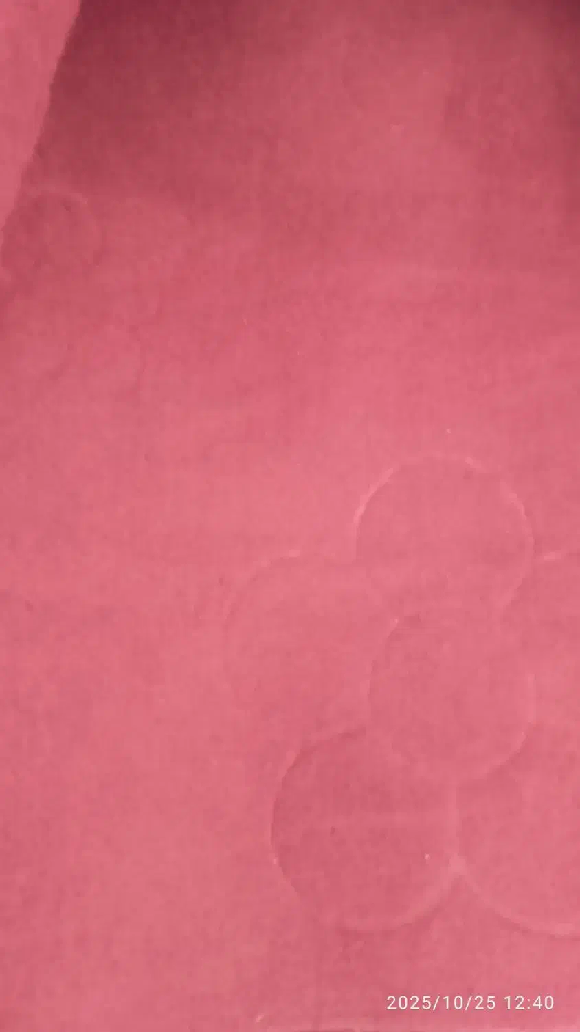 موکت عالی و خوب|موکت|قائن, |دیوار