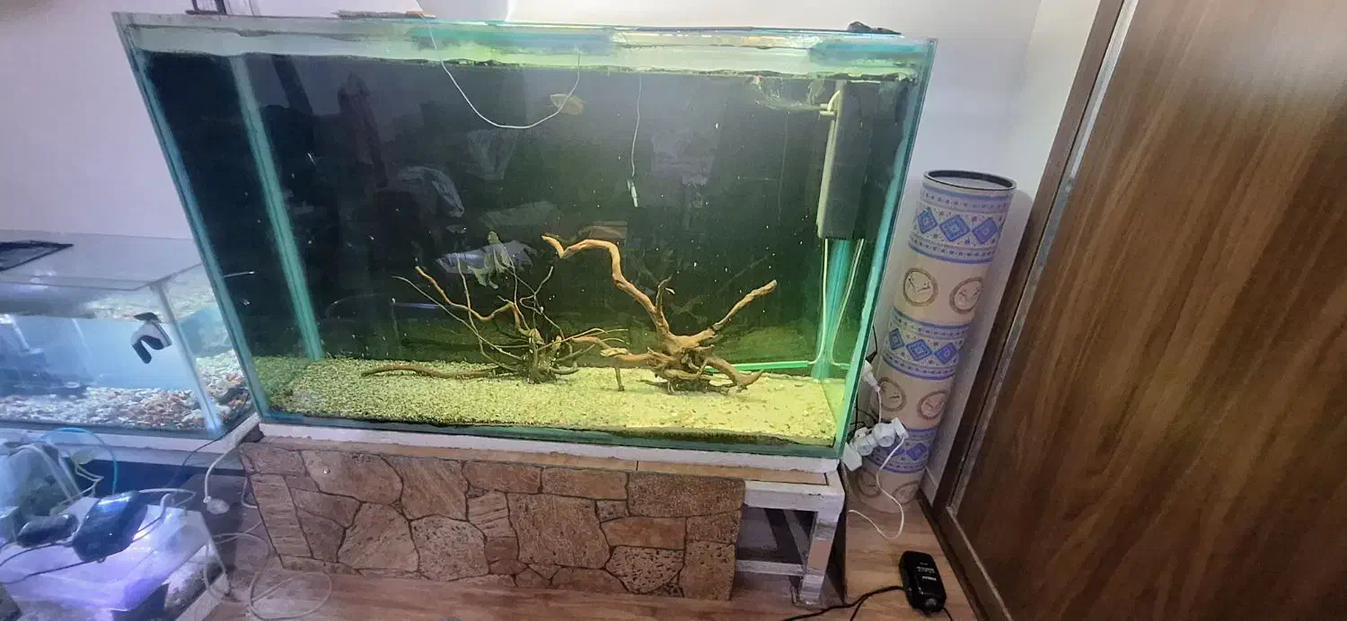 سه عدد اکواریوم|ماهی|اصفهان, کوی سپاهان|دیوار