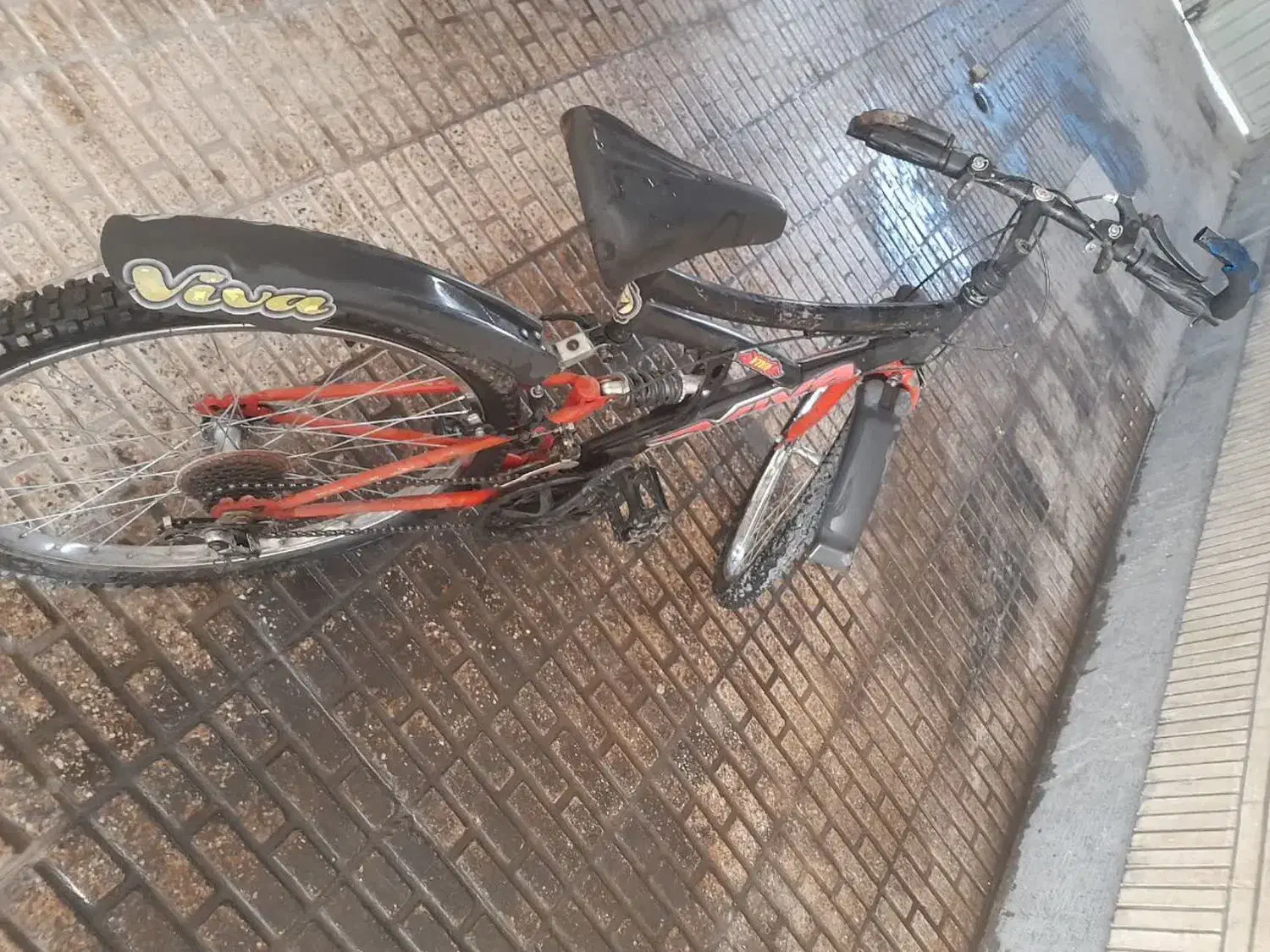 دوچرخه سایز ۲۶|دوچرخه، اسکیت، اسکوتر|اصفهان, سنبلستان|دیوار