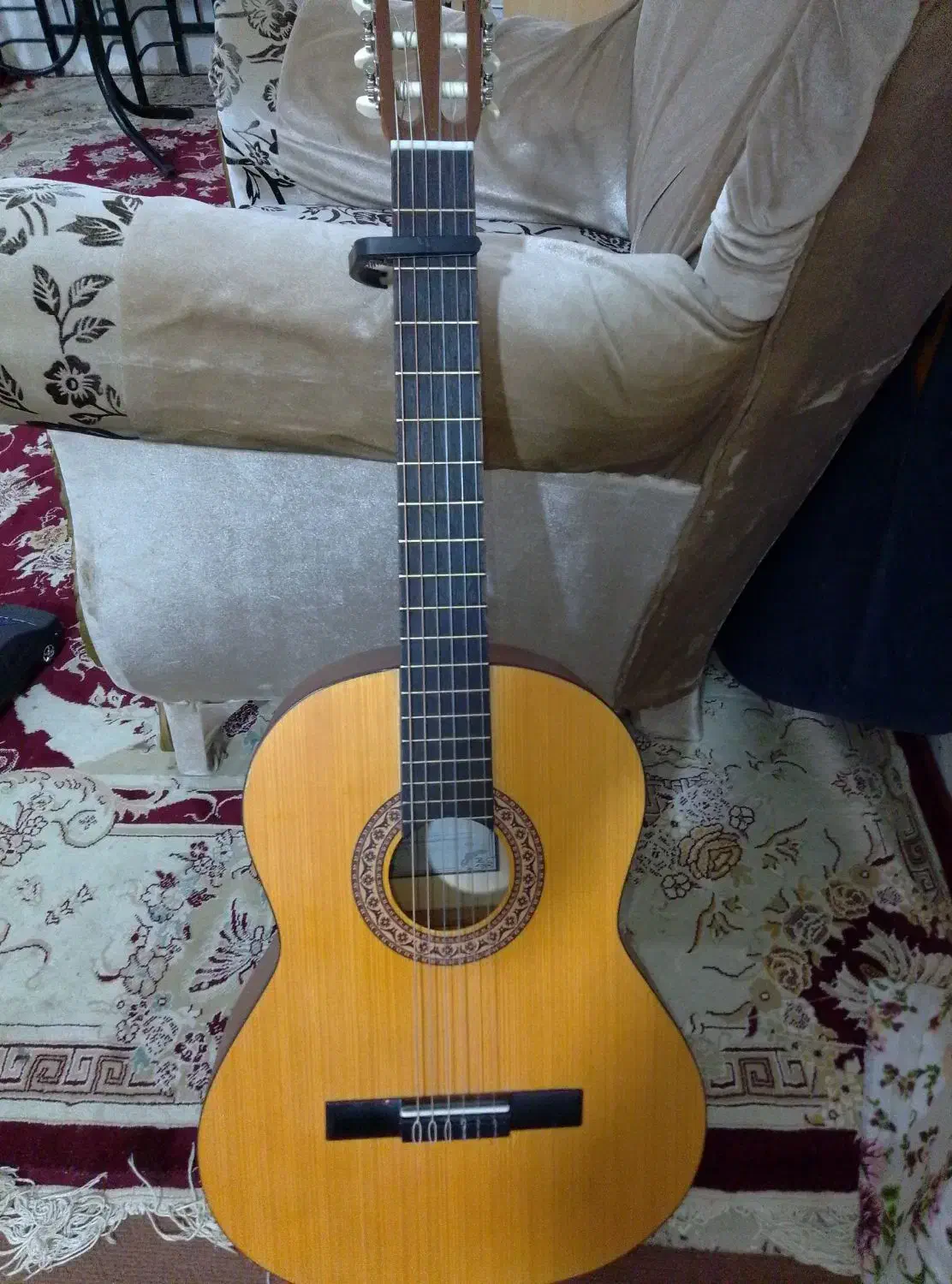 گیتار پارسی درحد|گیتار، بیس، امپلیفایر|کلاله, |دیوار