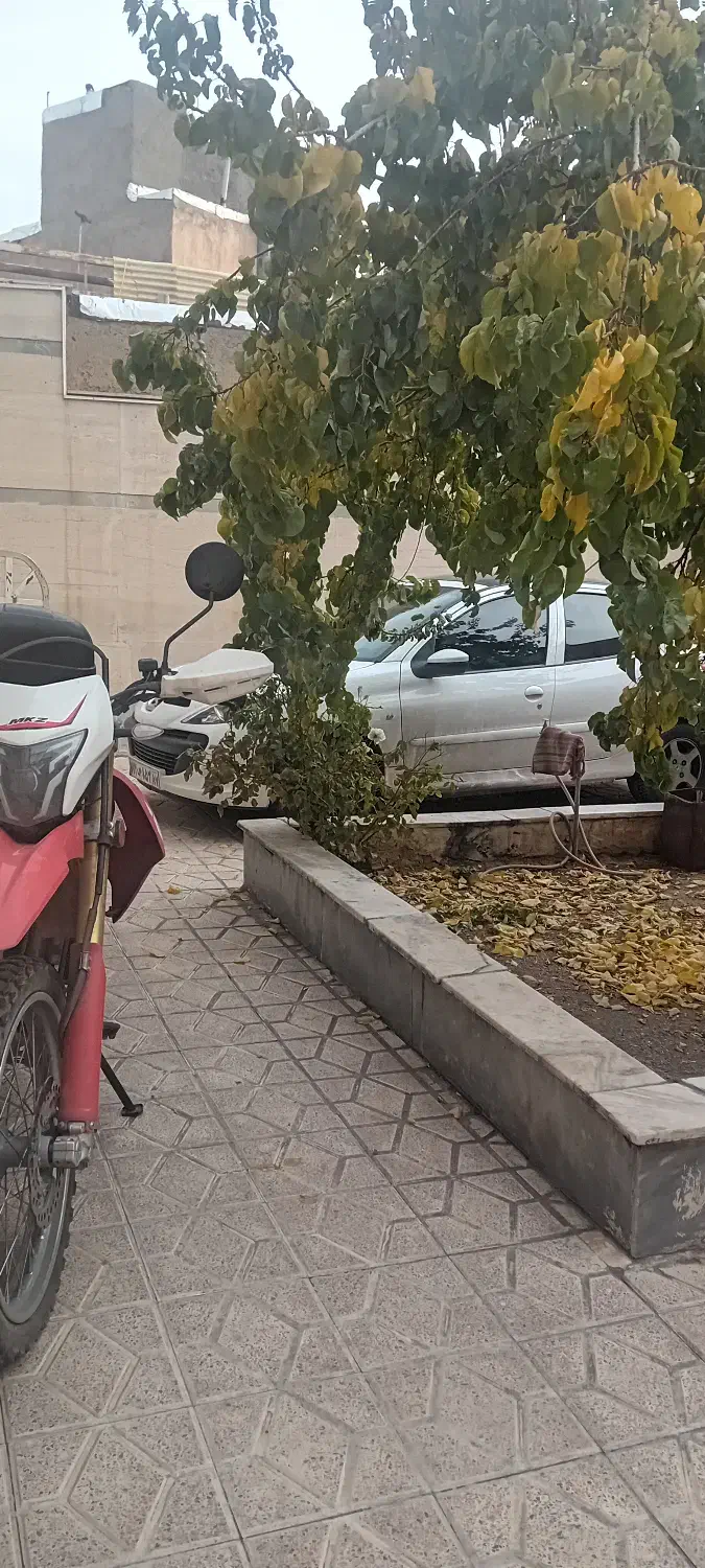 ۲۰۷ پانا بی رنگ سفید|خودرو سواری و وانت|زنجان, |دیوار