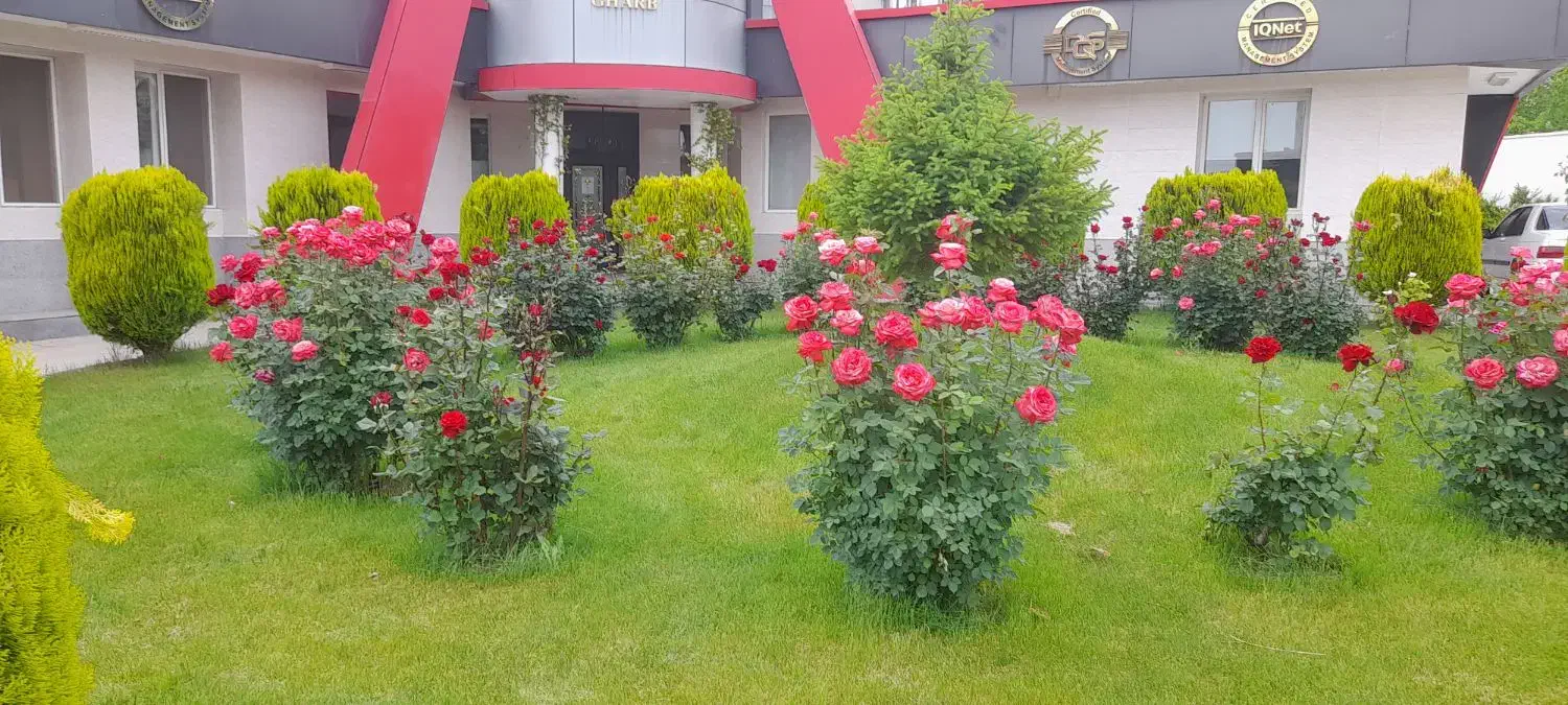 باغبانی|خدمات باغبانی و درختکاری|کرمانشاه, |دیوار