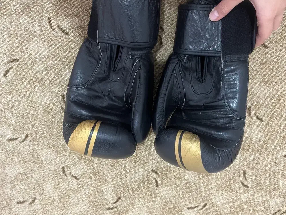 دستکش بوکس چرم|تجهیزات ورزشی|همدان, |دیوار