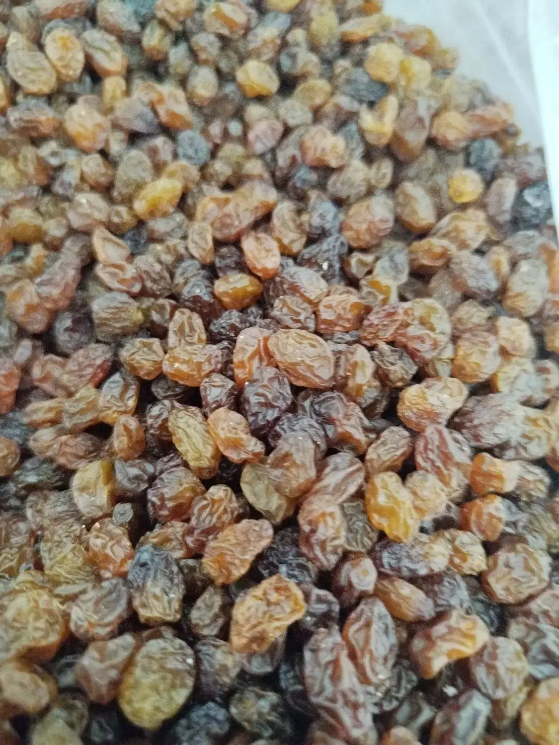 کشمش بی دانه تاکستان درجه یک|خوردنی و آشامیدنی|فولادشهر, مسکن مهر فولادشهر|دیوار