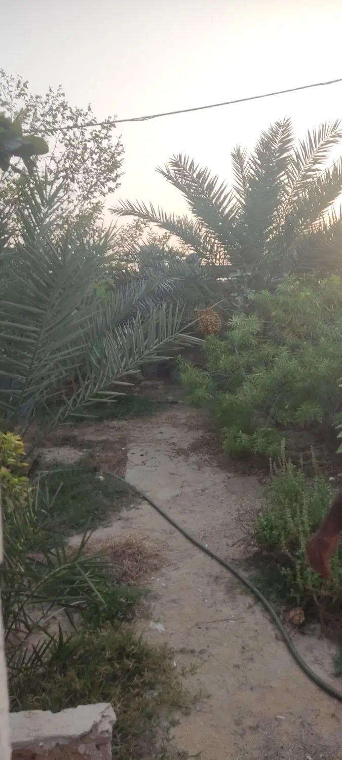 تصویر 3