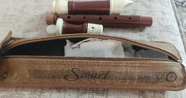 فلوت ریکوردر|سازهای بادی|نیشابور, فردوس شمالی|دیوار