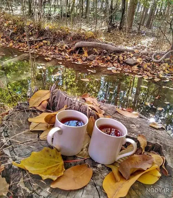 فروش خیلی فوری فوری زمین باغ شهری|فروش زمین و ملک کلنگی|مرودشت, بهارستان|دیوار