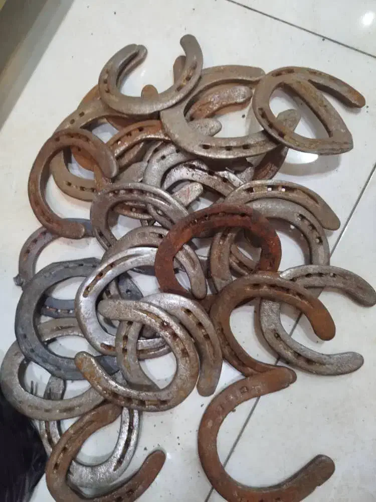 نعل اسب چشم زخم و روزی|اسب و تجهیزات اسب‌سواری|بوشهر, |دیوار