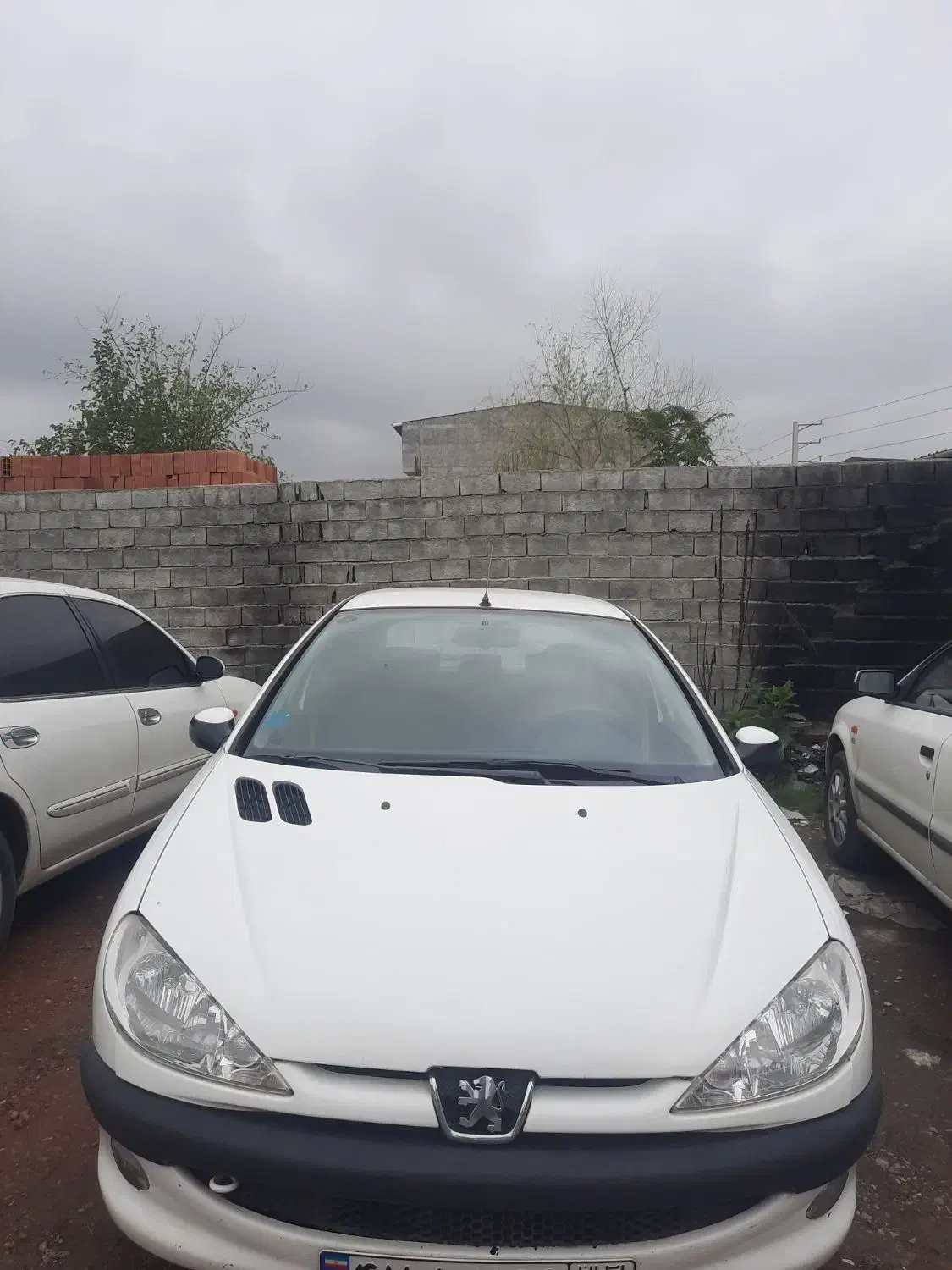 پژو ۲۰۶ مدل ۹۱|خودرو سواری و وانت|چمستان, |دیوار