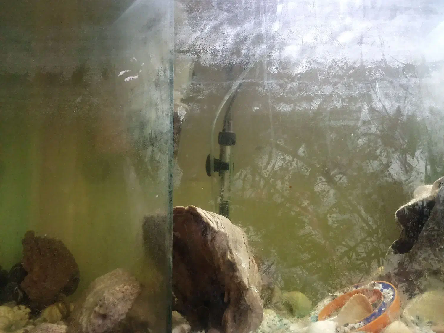 آکواریوم همراه ماهی|ماهی|تهران, حکیمیه|دیوار