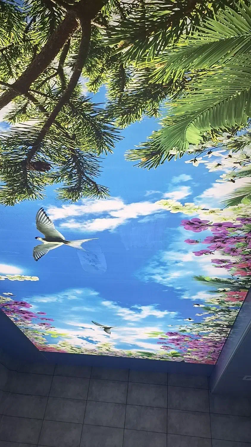 تولیدی ضد اب سقف کشسان|خدمات پیشه و مهارت|شیراز, شهرک پرواز|دیوار