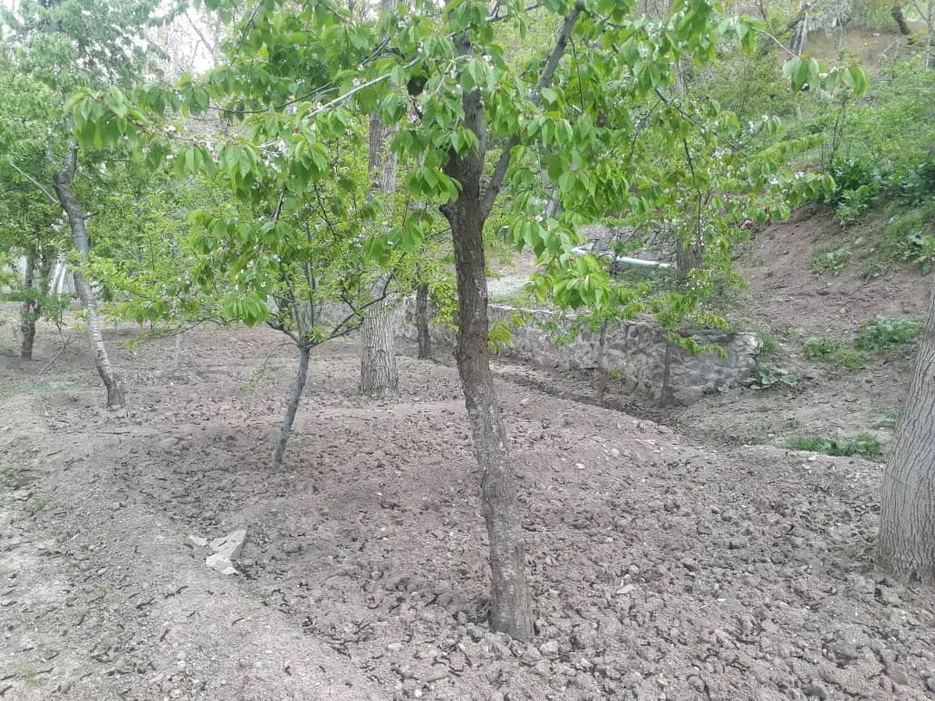 ۹۶۰ متر باغچه فروشی/جاده چالوس/نوجان|فروش خانه و ویلا|آسارا, |دیوار