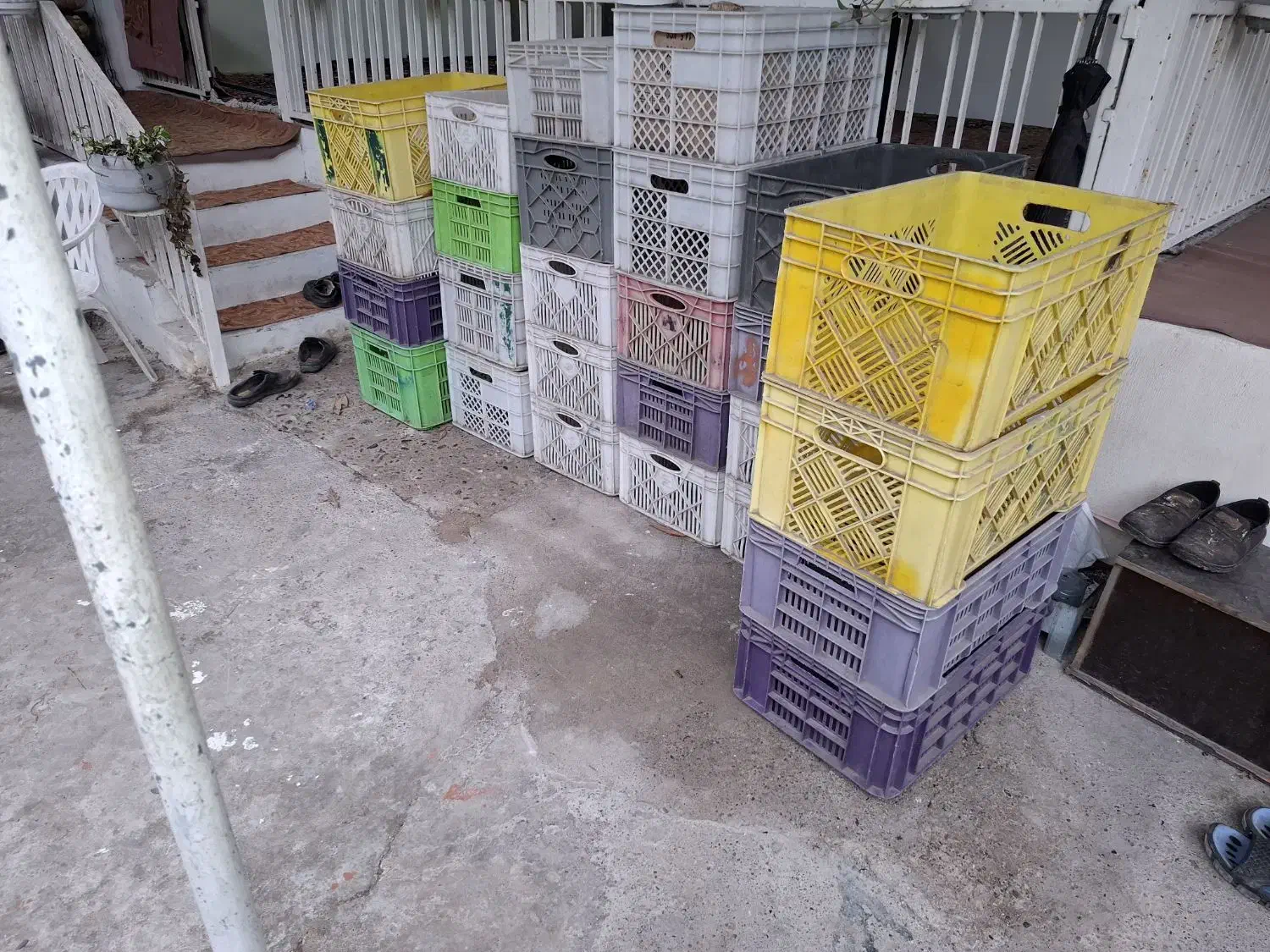 سبد|ابزارآلات|لشت نشا, |دیوار