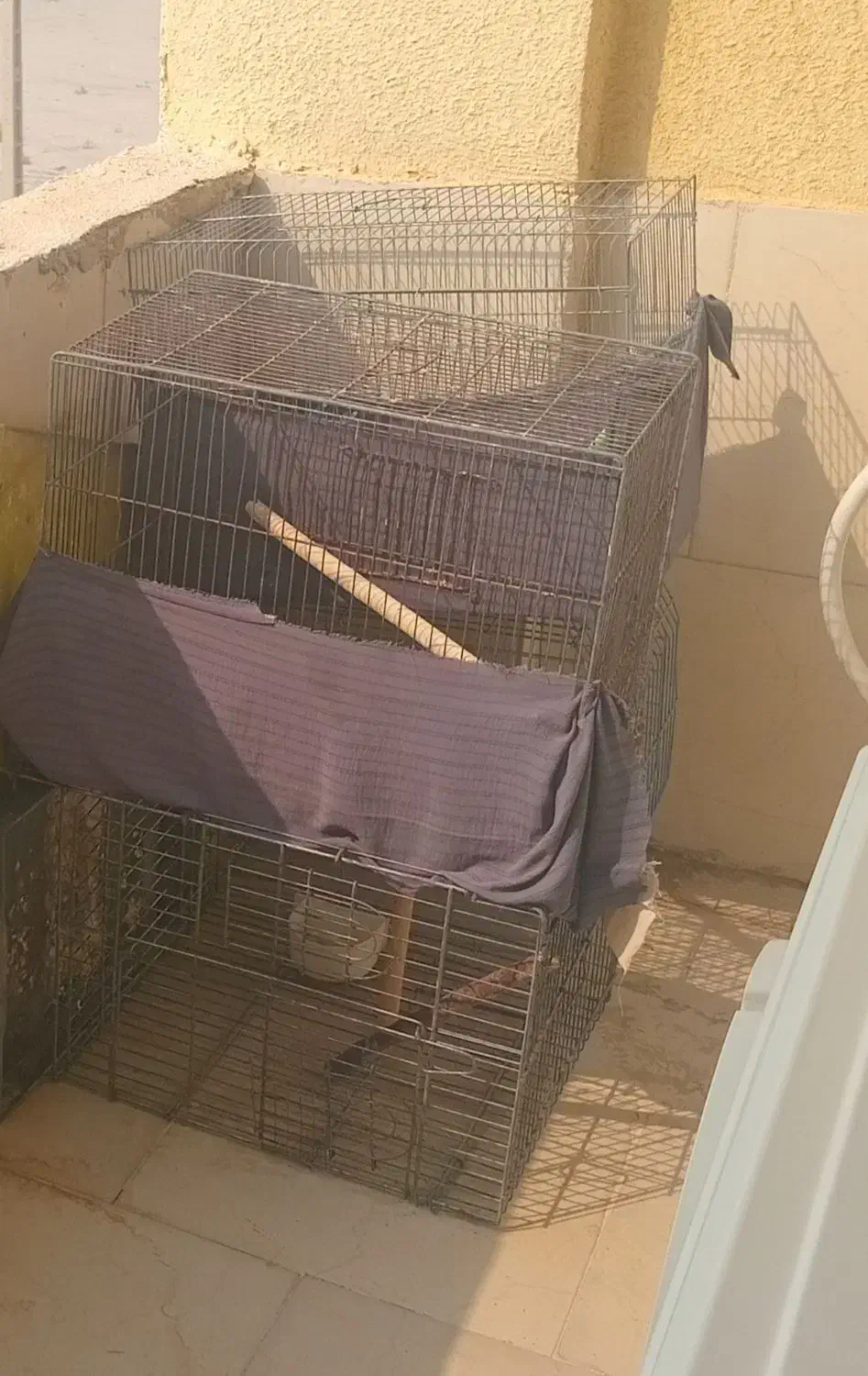قفس پرنده|لوازم جانبی حیوانات|خورموج, |دیوار