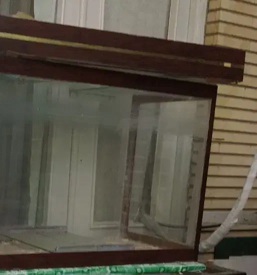 اکواریوم|ماهی|رشت, حاجی آباد|دیوار