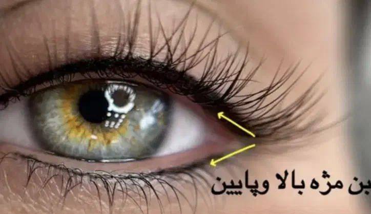 میکرو وخط چشم فقط سیصد|خدمات آرایشگری و زیبایی|تربت جام, شهید مدرس|دیوار