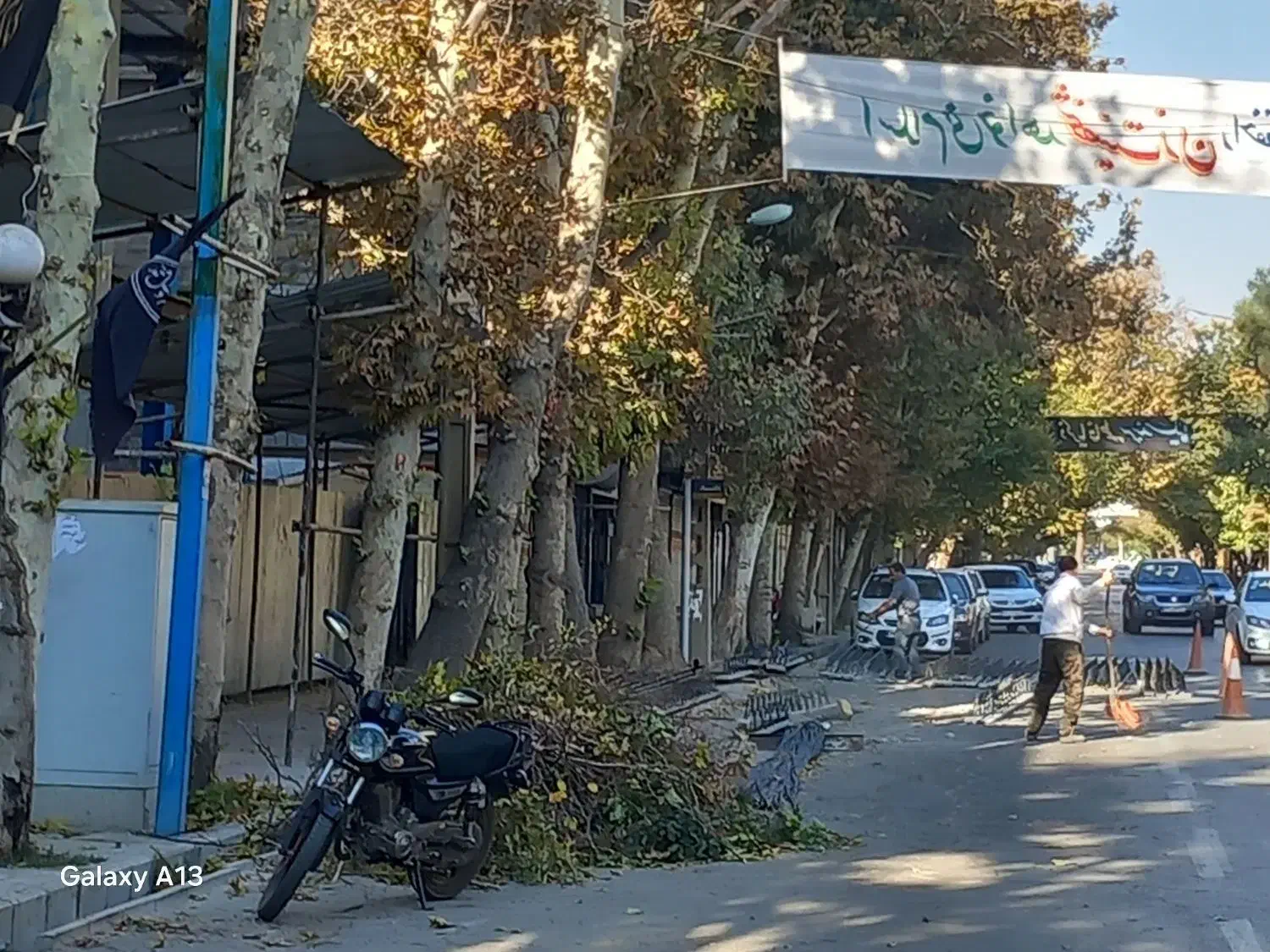 هرس و شاخه های اضافی درخت و مو انگور|خدمات باغبانی و درختکاری|بروجرد, |دیوار