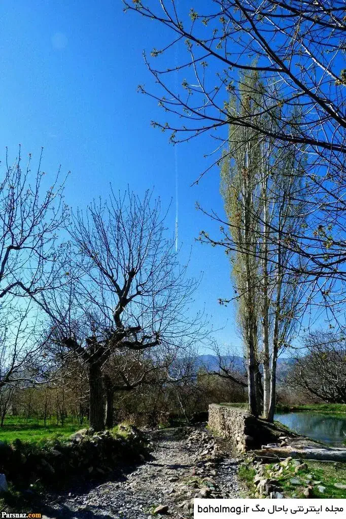 راهنمایی|فعالیت داوطلبانه|نیشابور, گمنام غربی|دیوار