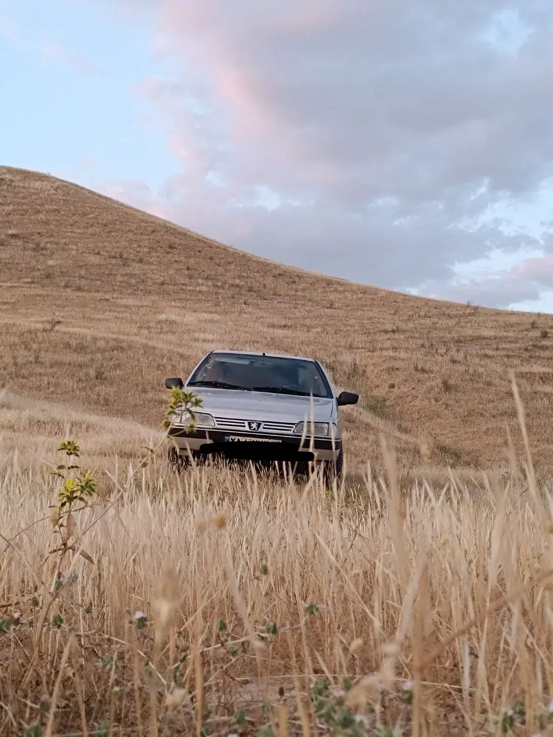 فروش ۴۰۵ نقره ای|خودرو سواری و وانت|بندر گناوه, |دیوار