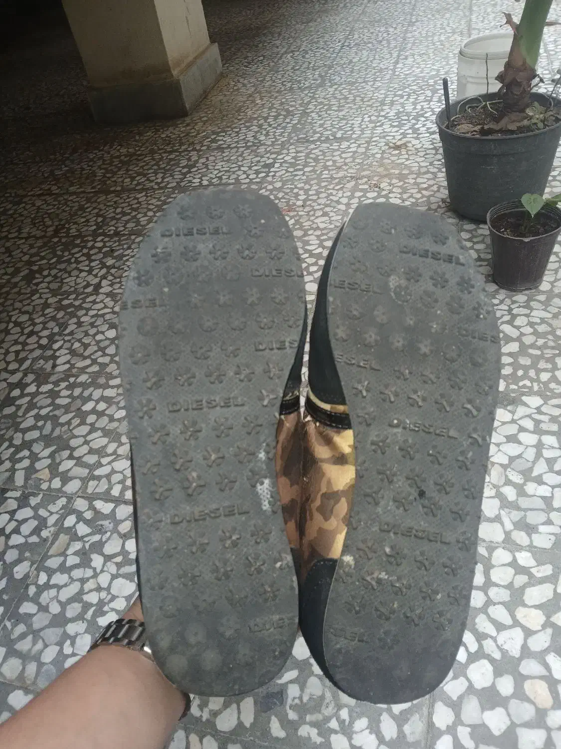 کتونی زنانه DIESEL|کیف، کفش، کمربند|رشت, نیکمرام|دیوار