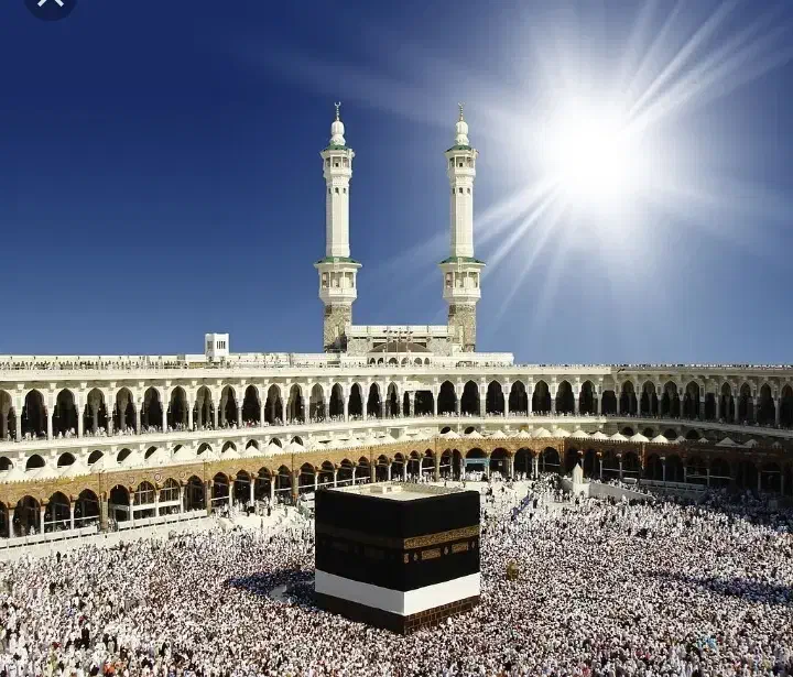 فیش حج|تور و چارتر|ری, فیروزآباد|دیوار