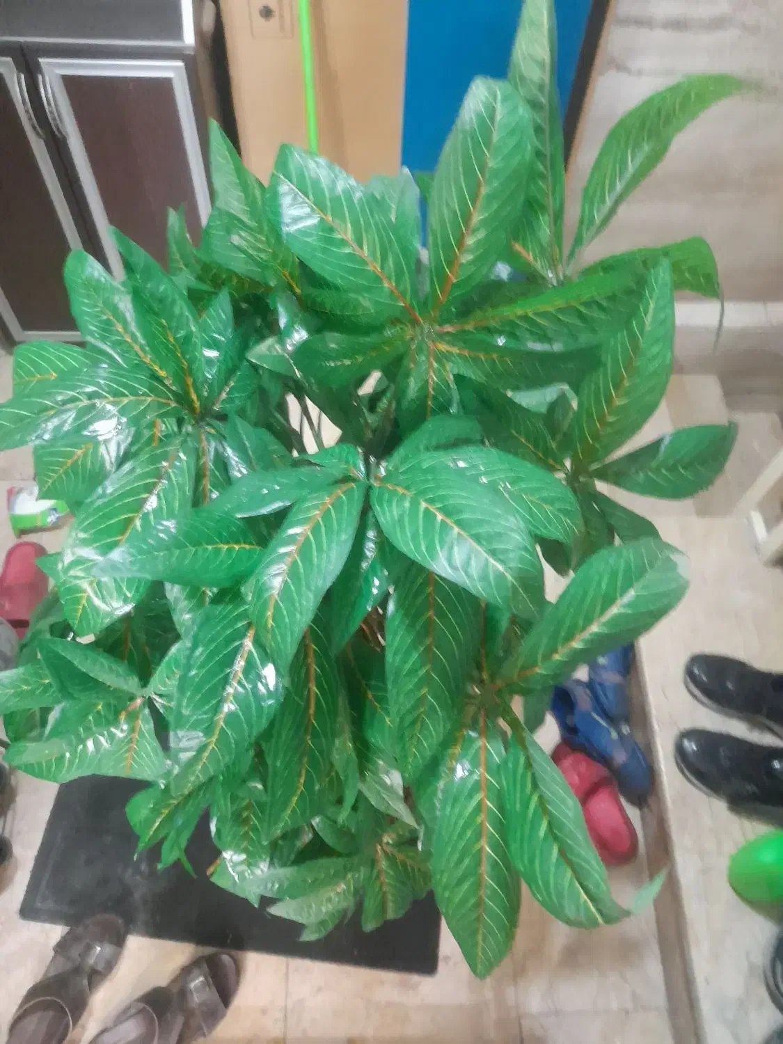 یک عدد درختچه مصنوعی زیبا|گل مصنوعی|تهران, ارجمندی راد|دیوار