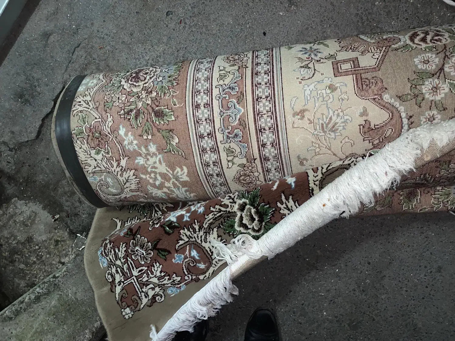 فرش|فرش|چالوس, |دیوار