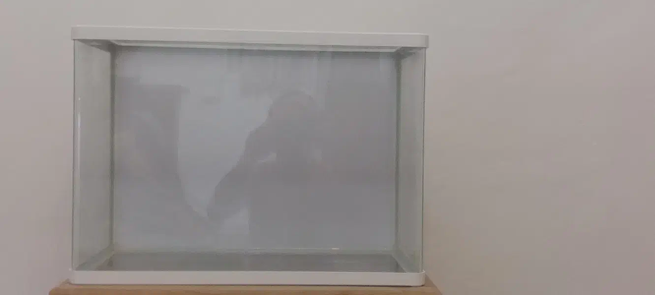 اکواریوم دلسا در حد نو|ماهی|قزوین, |دیوار