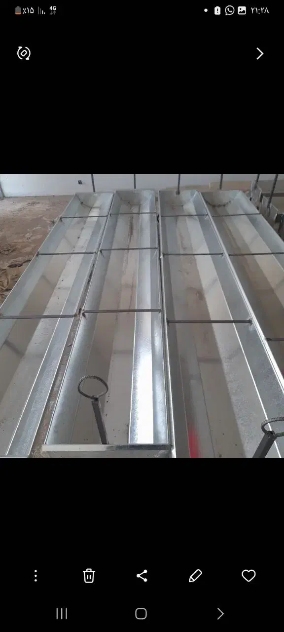 بره میش بز گوسفند|حیوانات مزرعه|کرمان, |دیوار