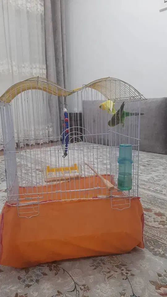 قفس|لوازم جانبی حیوانات|صومعهسرا, |دیوار