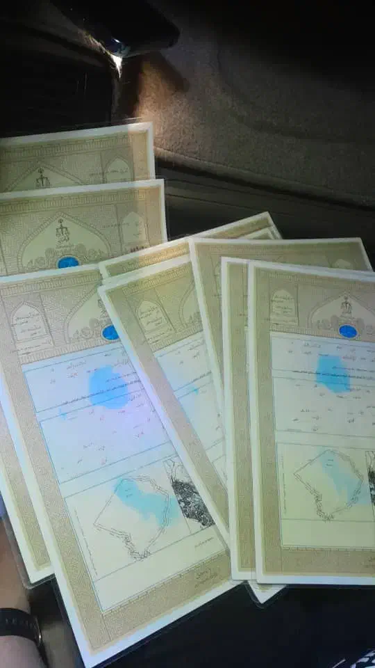 ۱۱۰ هکتار تک برگ|فروش دفتر صنعتی، کشاورزی، تجاری|چناران, |دیوار