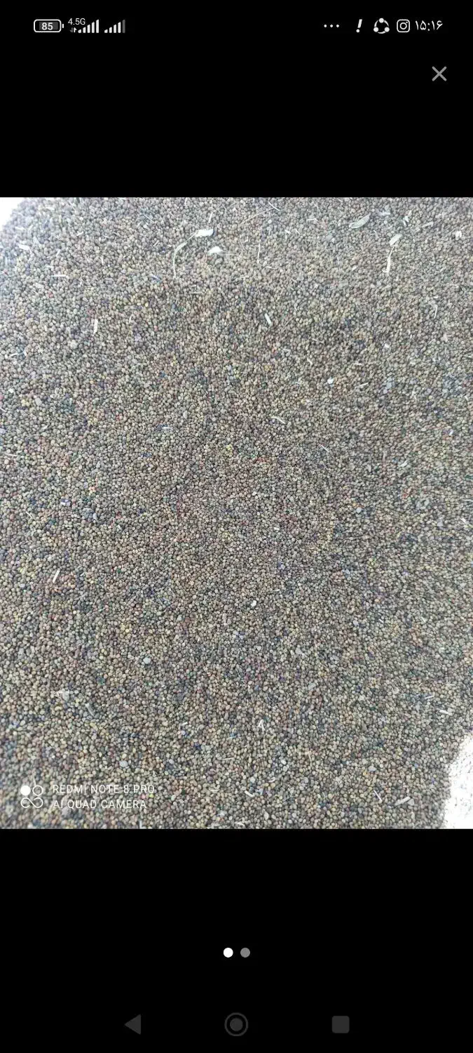 تخم شبدر درجه یک|لوازم جانبی حیوانات|فارسان, |دیوار