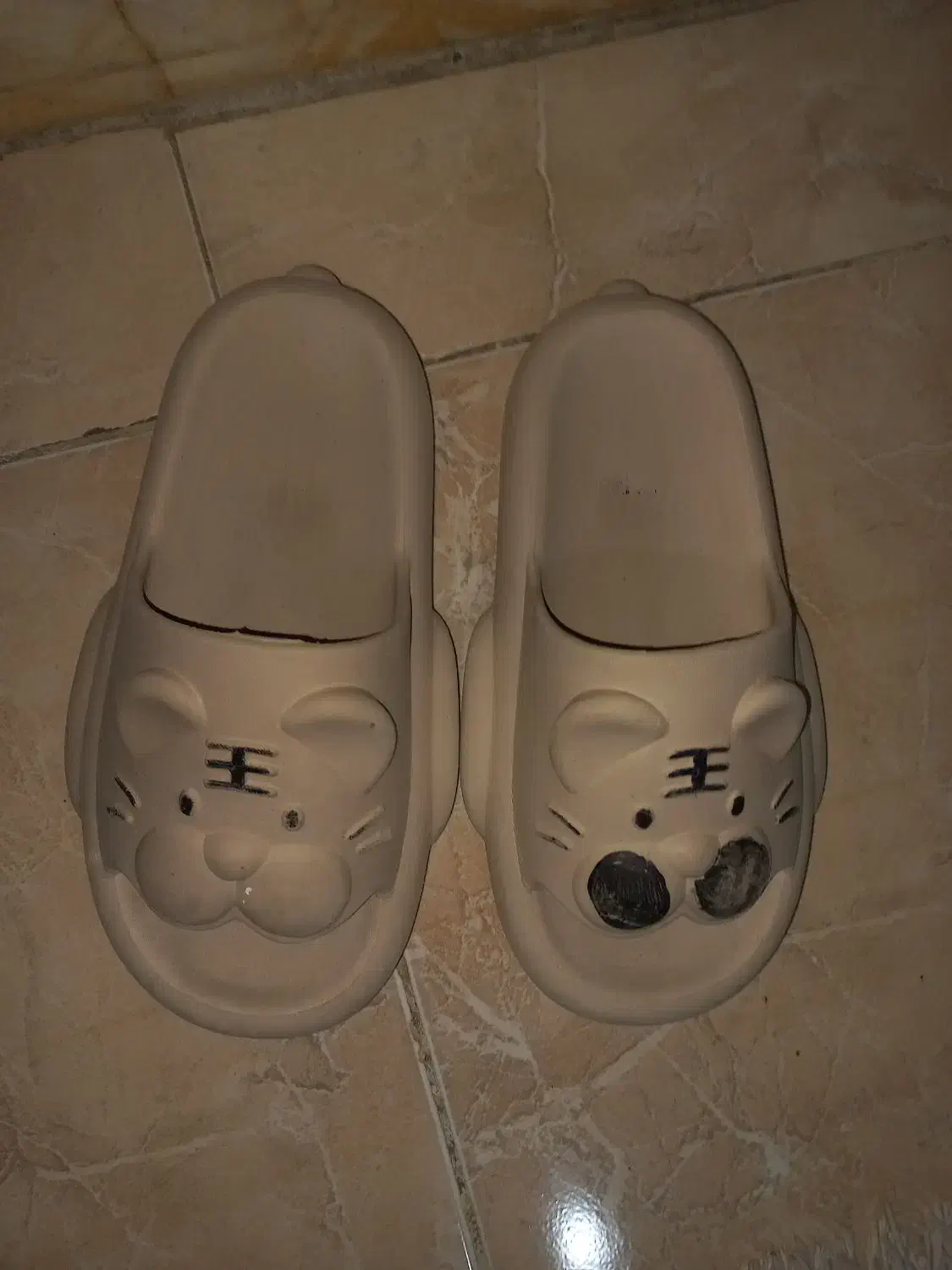 دمپایی زنانه|کیف، کفش، کمربند|گرگان, |دیوار