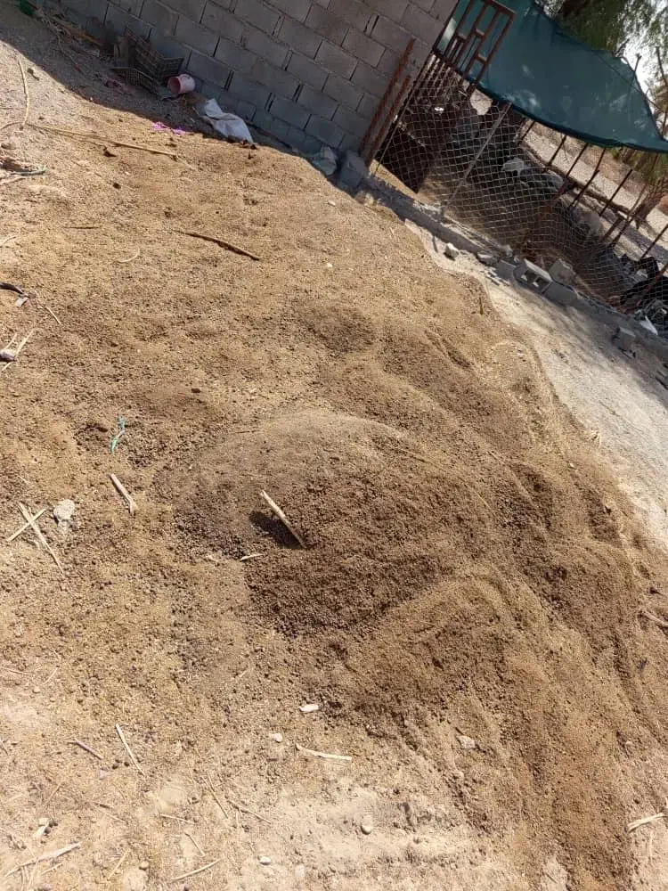 فروش کود گوسفندی|خدمات باغبانی و درختکاری|رودان, |دیوار