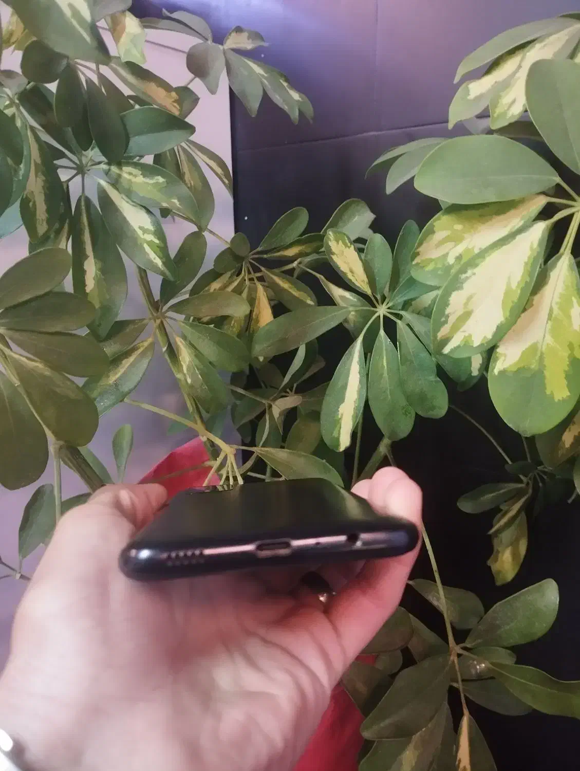 سامسونگ a03s|موبایل|تبریز, |دیوار